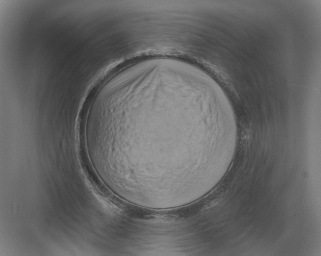 X0000082760678200702162026