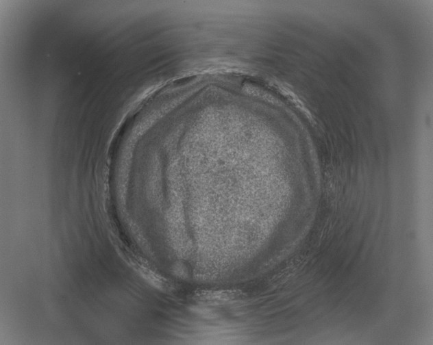 X0000082760679200702162026