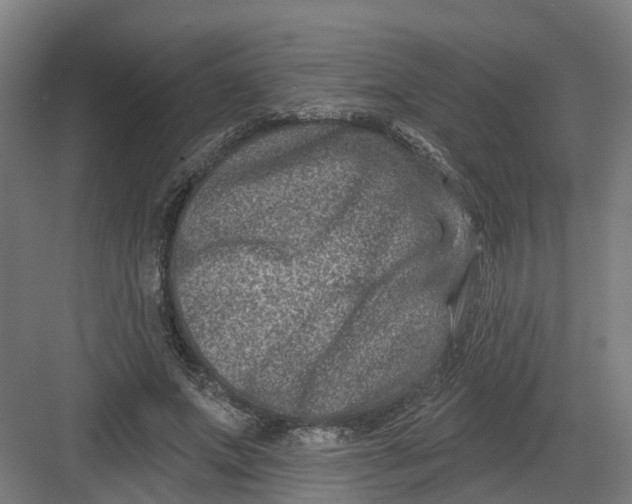 X0000082760687200702162026