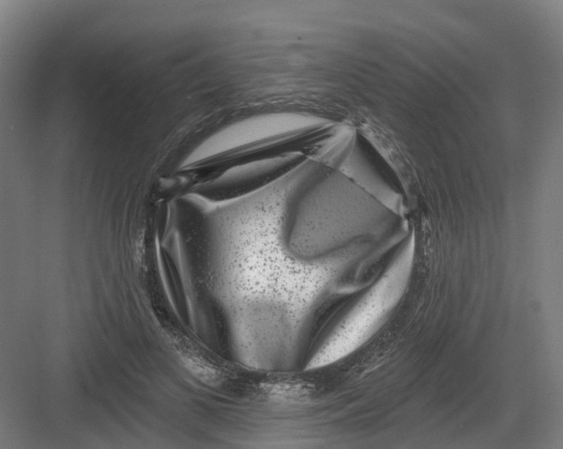 X0000082760693200702162026