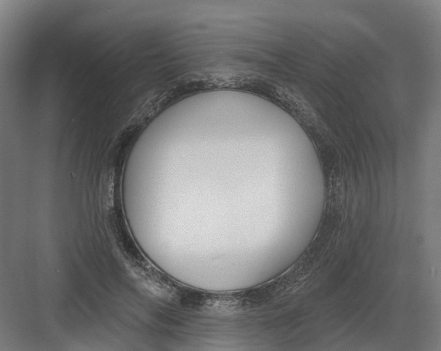 X0000082760694200702162026