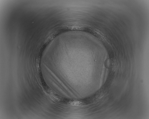 X0000082760695200702162026