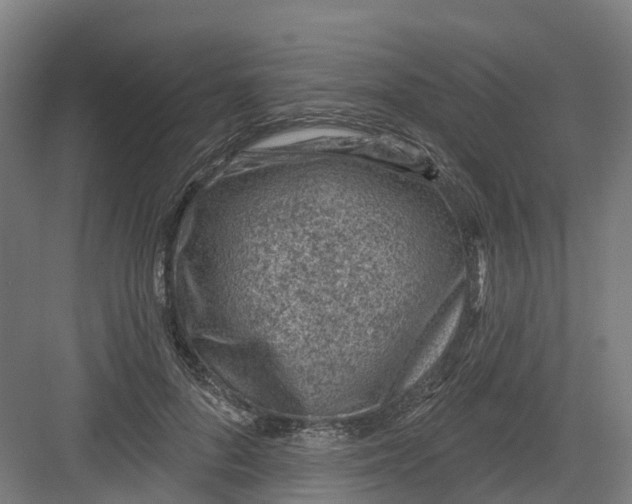 X0000082760696200702162026