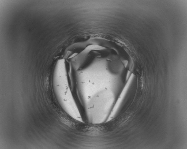 X0000082760697200702162026