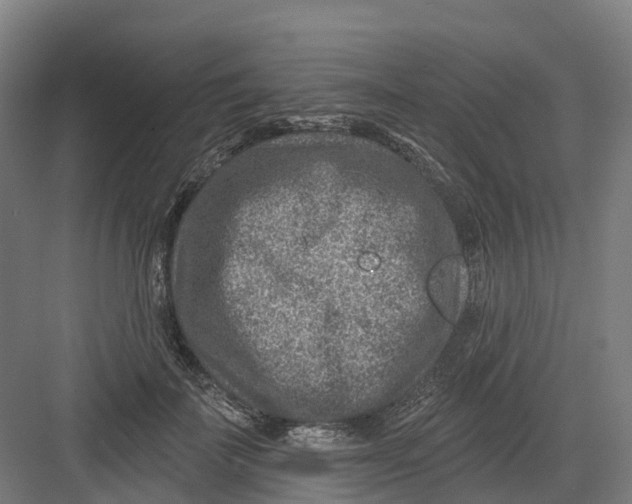 X0000082760699200702162025