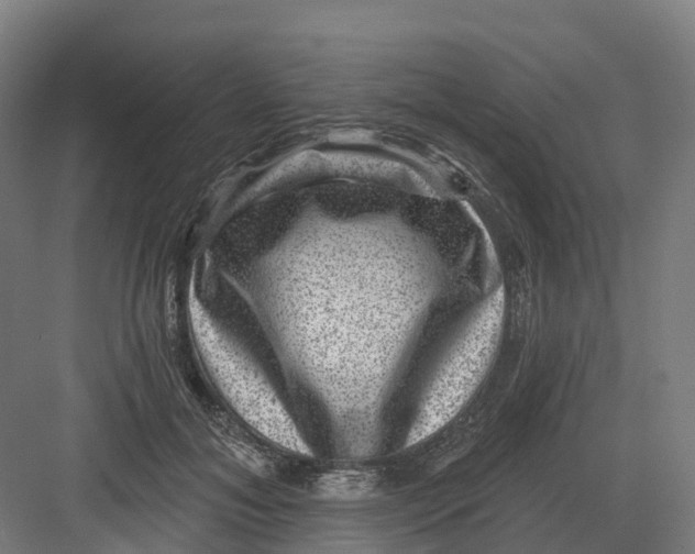 X0000082760700200702162025