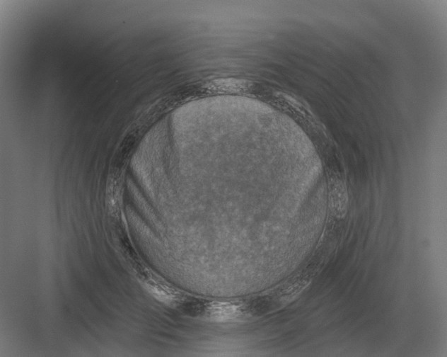 X0000082760701200702162025