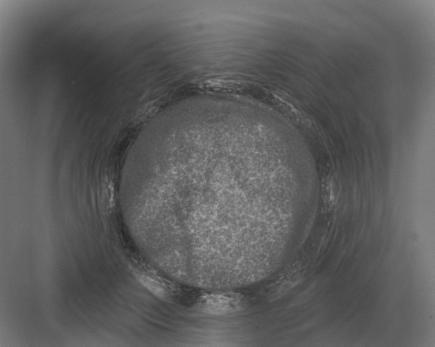 X0000082760703200702162025