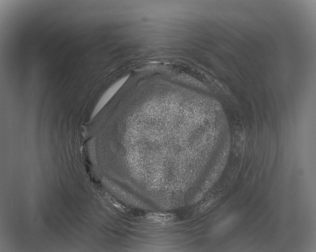 X0000082760707200702162025