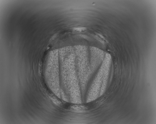 X0000082760712200702162025