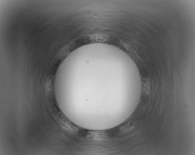 X0000082760713200702162025