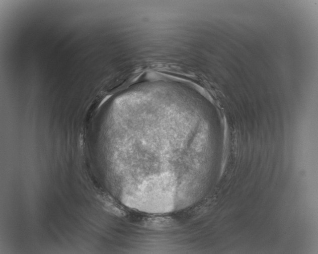 X0000082760716200702162025