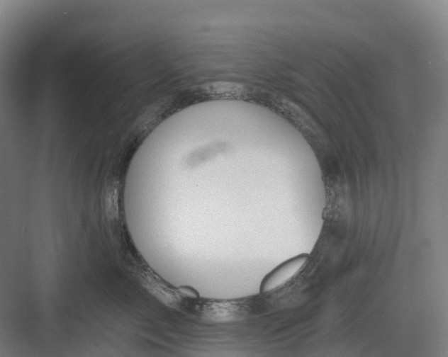 X0000082760717200702162025