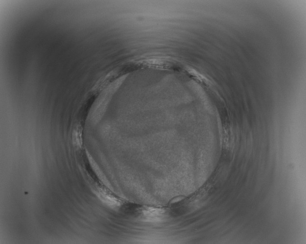 X0000082760718200702162025