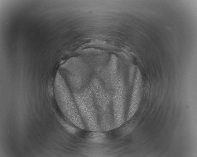 X0000082760719200702162025