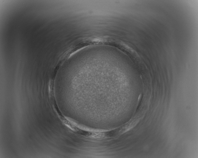 X0000082760720200702162025