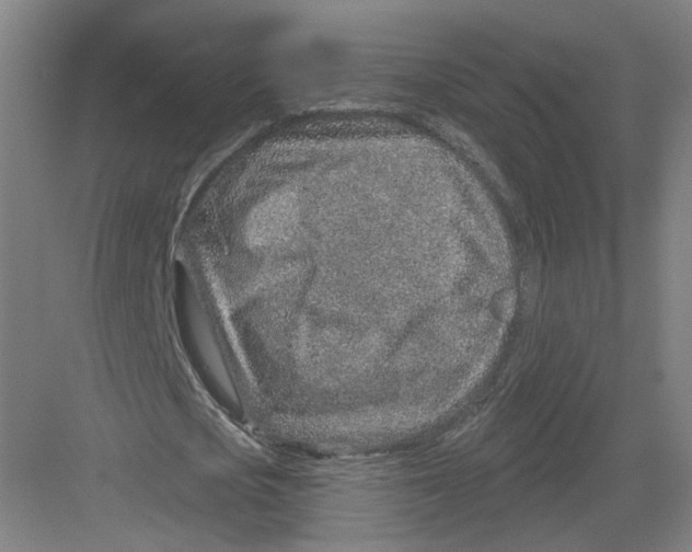 X0000082760721200702162024