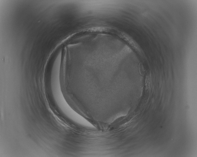 X0000082760722200702162024