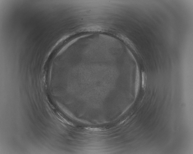 X0000082760723200702162024