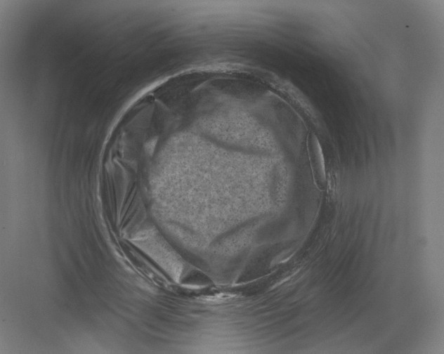 X0000082760724200702162024