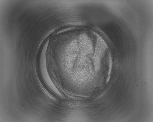 X0000082760725200702162024