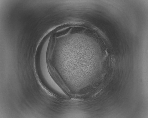 X0000082760726200702162024