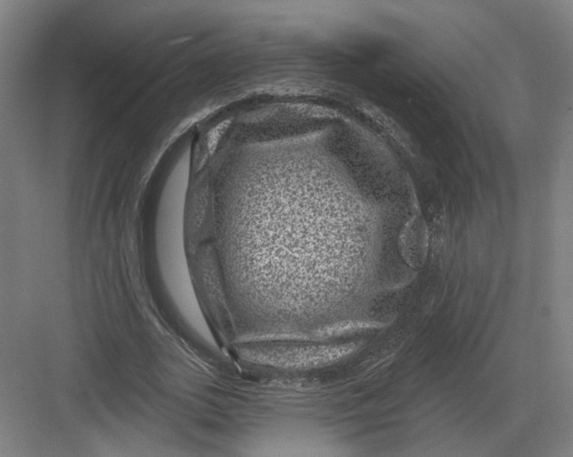 X0000082760727200702162024