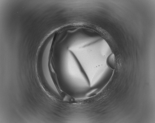 X0000082760728200702162024