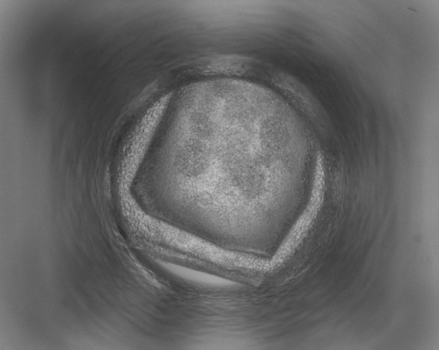 X0000082760729200702162024