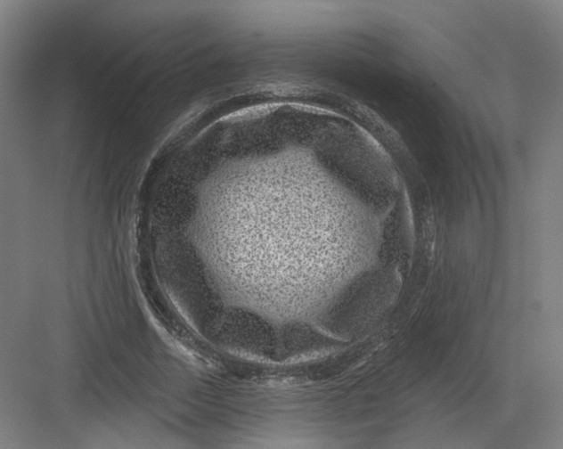 X0000082760730200702162024