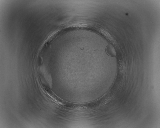 X0000082760731200702162024