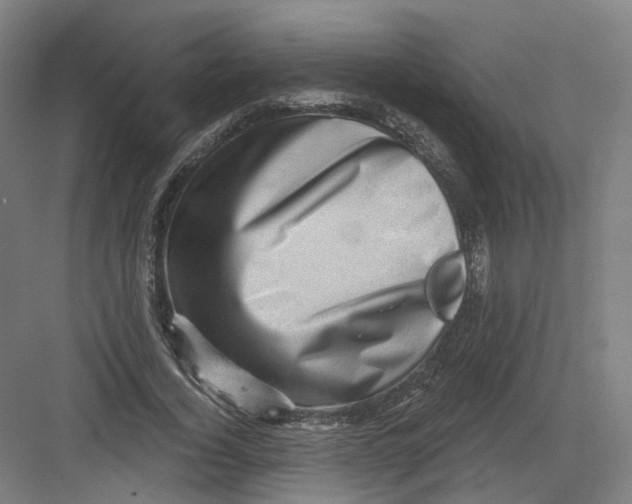 X0000082760732200702162025