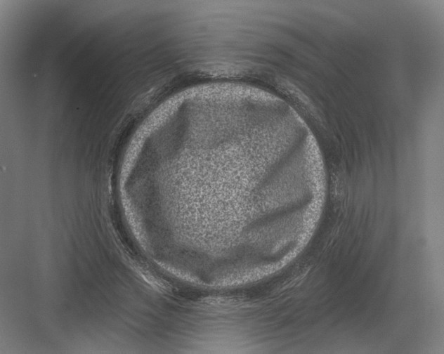 X0000082760733200702162025