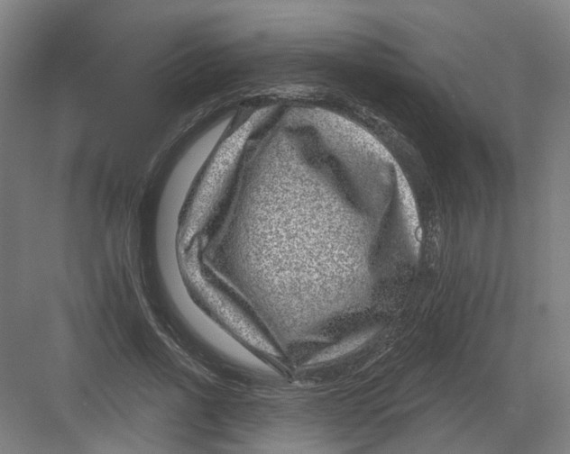 X0000082760734200702162025