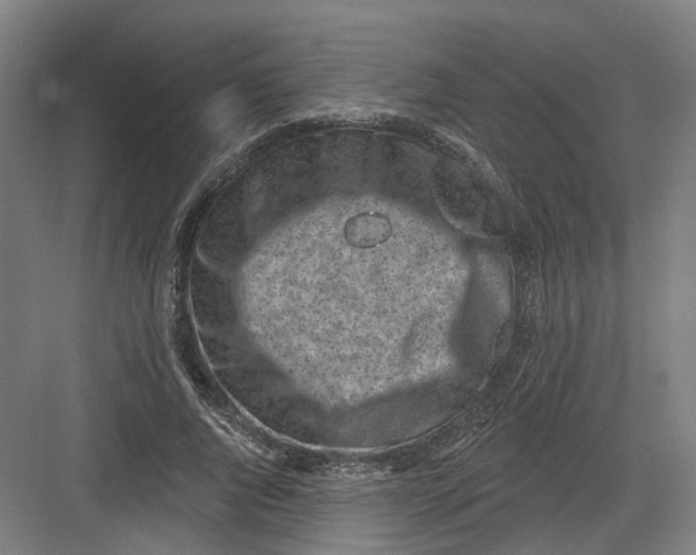 X0000082760736200702162025