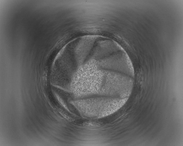 X0000082760739200702162025