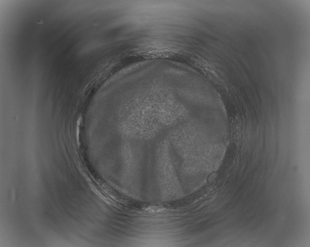 X0000082760742200702162025