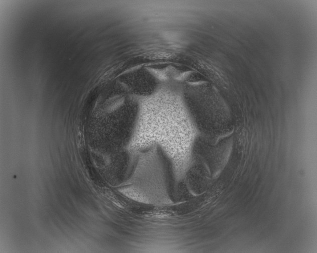 X0000082760743200702162025