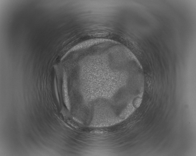 X0000082760745200702162025