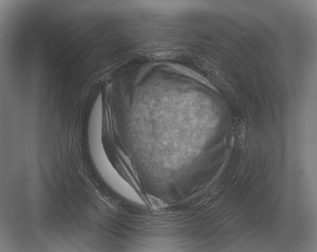 X0000082760746200702162025