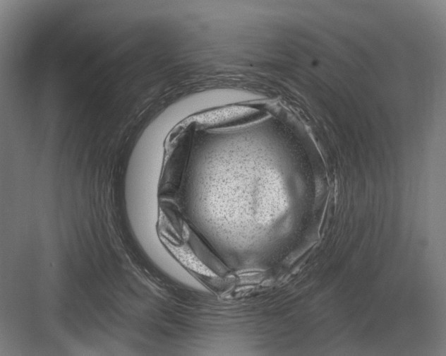 X0000082760750200702162025