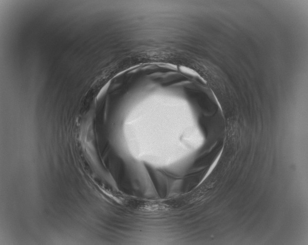 X0000082760752200702162025