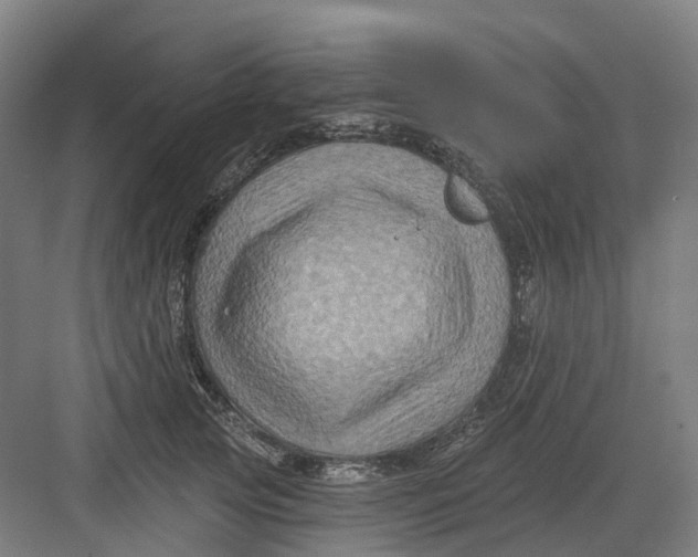 X0000082760753200702162025