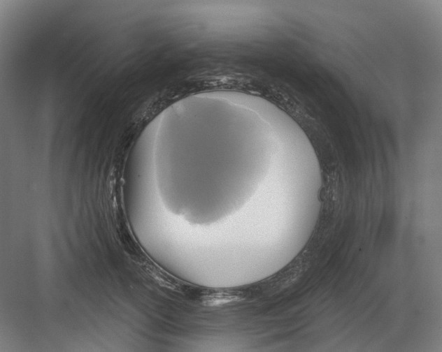 X0000082760754200702162025