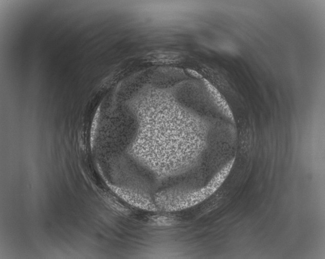 X0000082760755200702162025