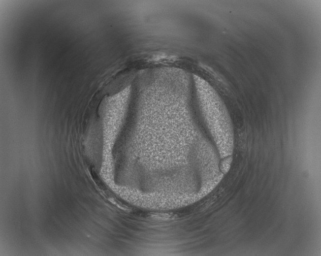 X0000082760757200702162025