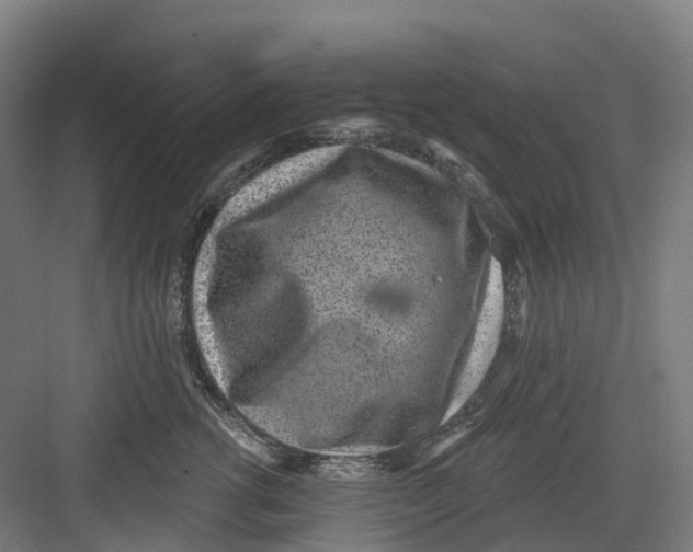 X0000082760762200702162025