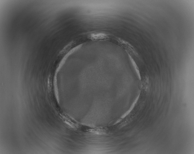 X0000082760763200702162025