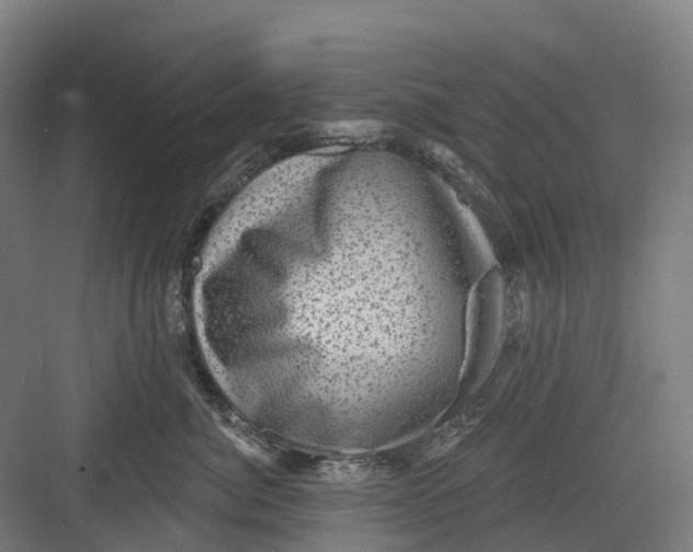 X0000082760764200702162025