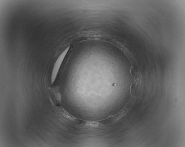 X0000082760767200702162025